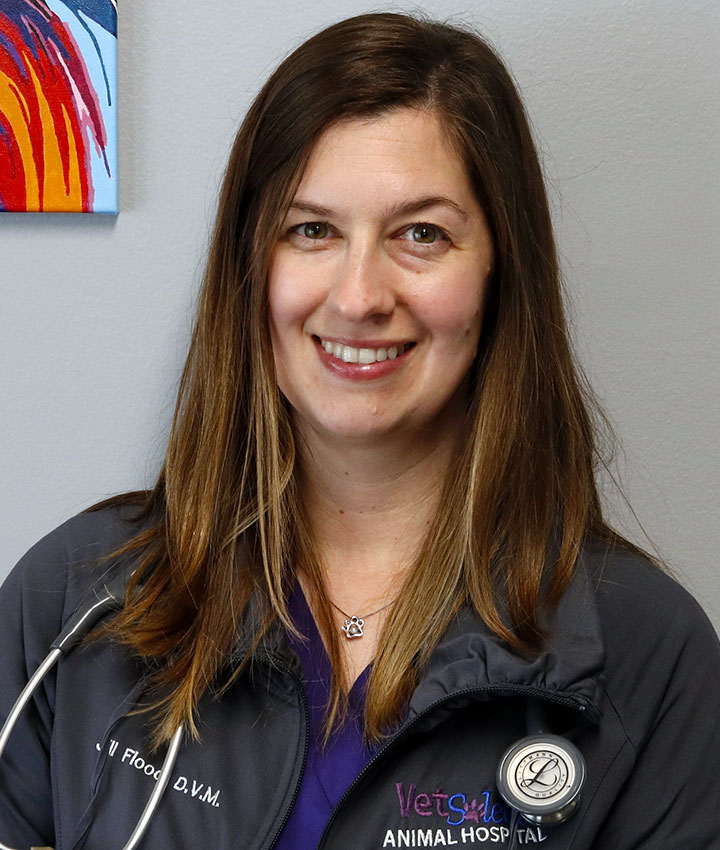 Dr. Jill Flood, DVM